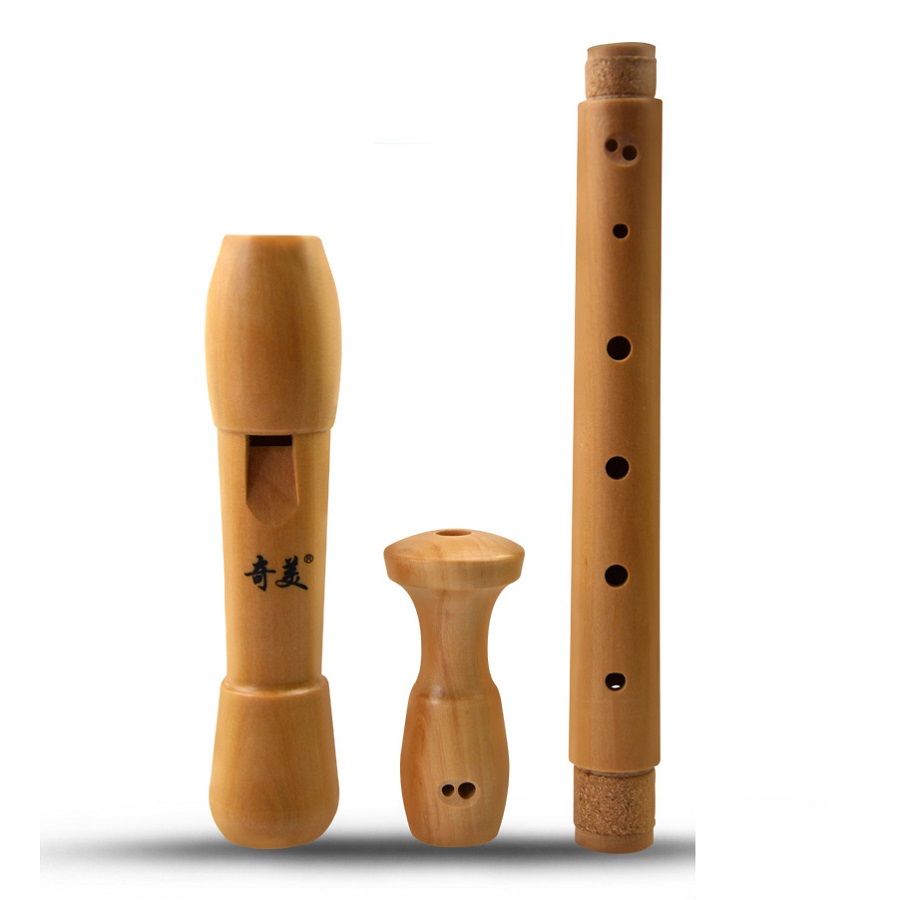 Qimei 8 Holes Alto Recorder Mu - Musical Instrument Theremin review and price