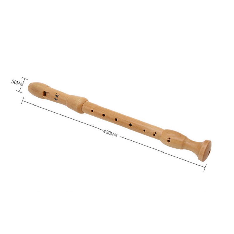 Qimei 8 Holes Alto Recorder Mu - Musical Instrument Theremin review and price