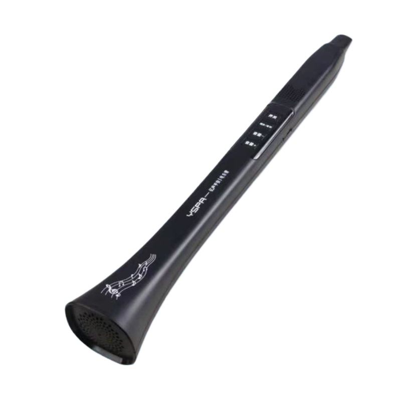 Portable Electronic Wind Instr - Musical Instrument For Beginners review and price