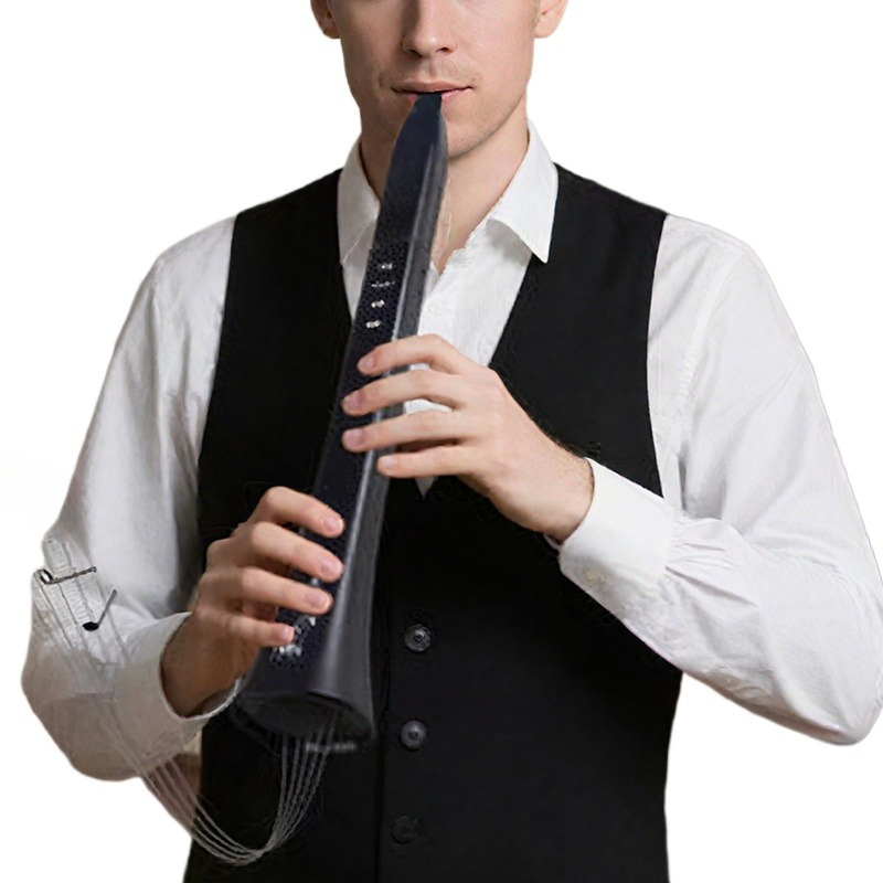 Portable Electronic Wind Instr - Musical Instrument For Beginners review and price