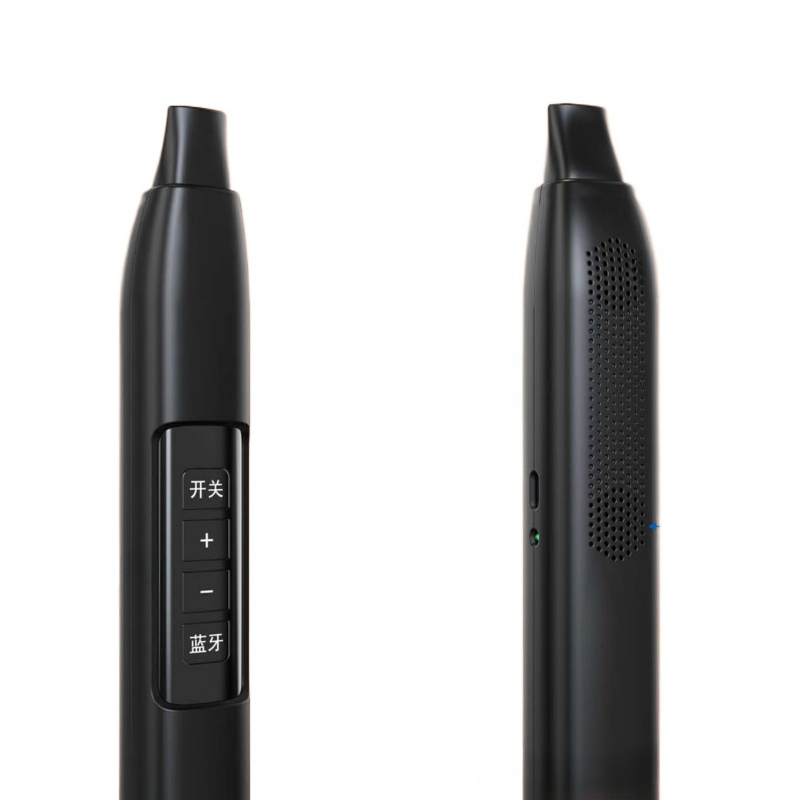 Portable Electronic Wind Instr - Musical Instrument For Beginners review and price