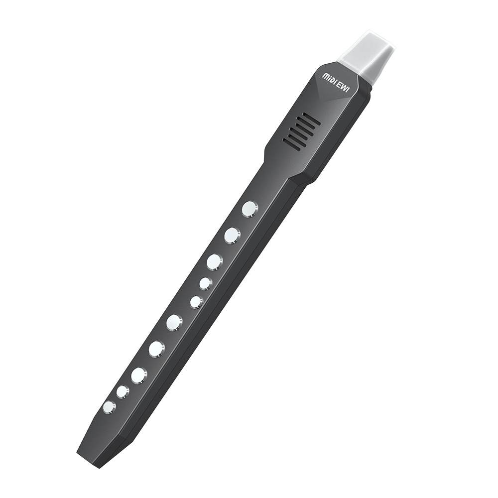 Small Transverse Flute Electro - Musical Instrument Theremin review and price