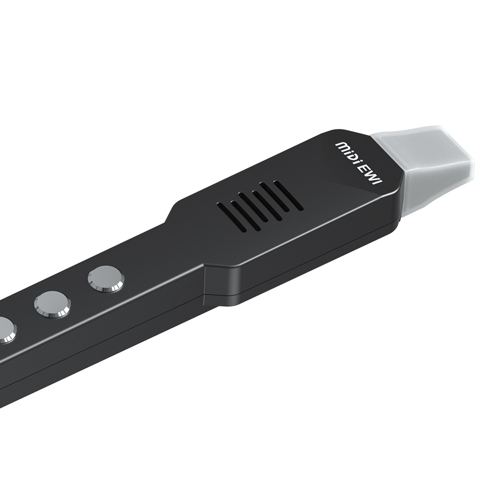 Small Transverse Flute Electro - Musical Instrument Theremin review and price
