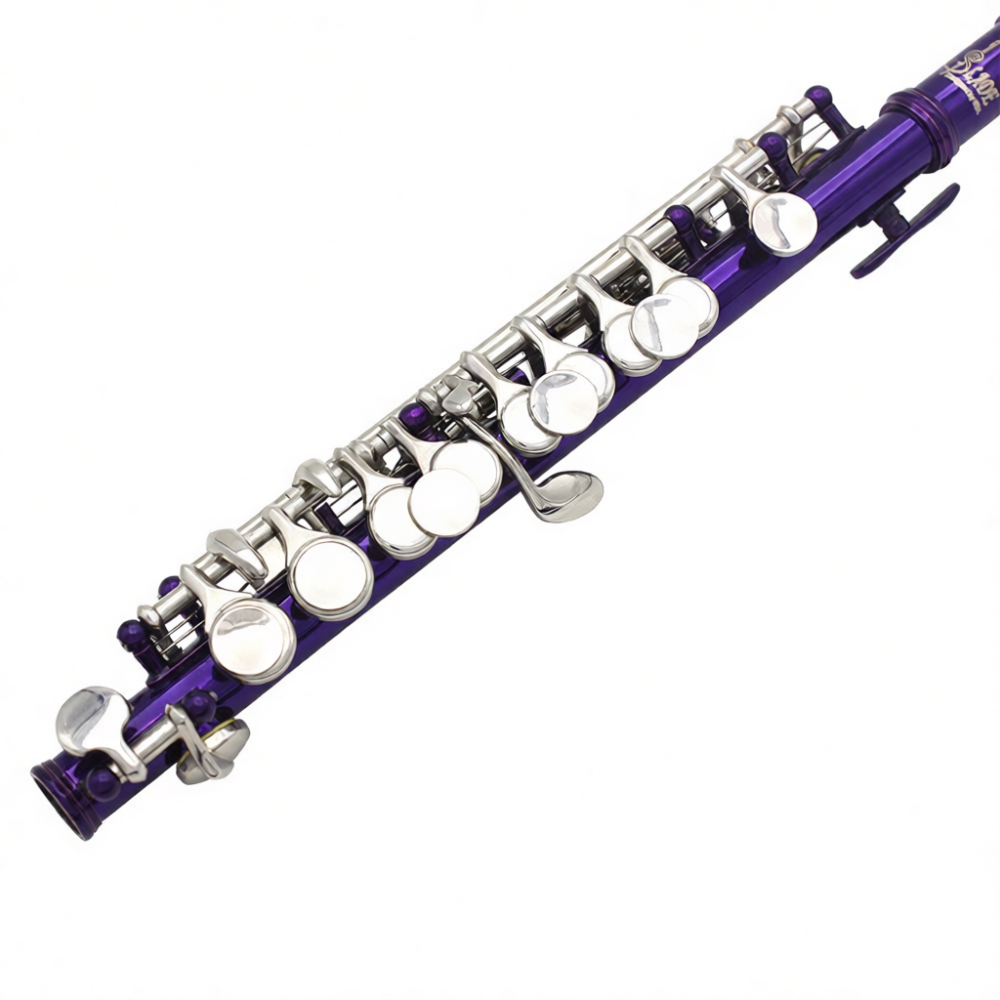Professional C Key Piccolo Nic - Musical Instrument Piccolo review and price